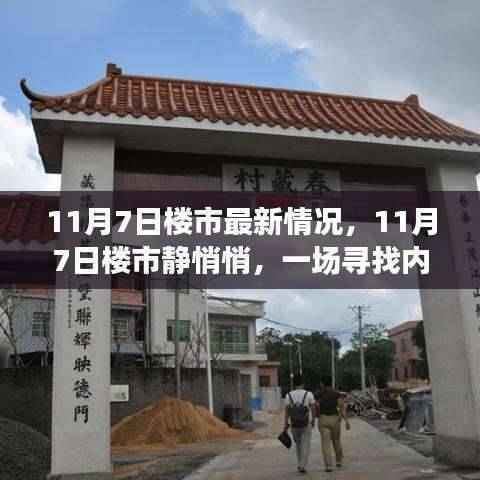 寻找内心平静,11月7日楼市最新动态与逃离之旅