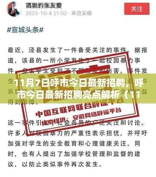 呼市最新招聘亮点解析(11月7日版)
