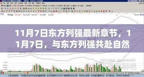 11月7日与东方列强共赴自然盛宴,探寻内心宁静与微笑的旅程