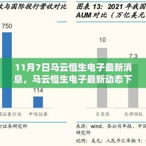 马云恒生电子最新动态,商业洞察与观点碰撞之我见