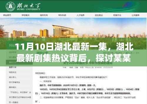 湖北最新剧集热议背后的深度解析,探讨某某观点