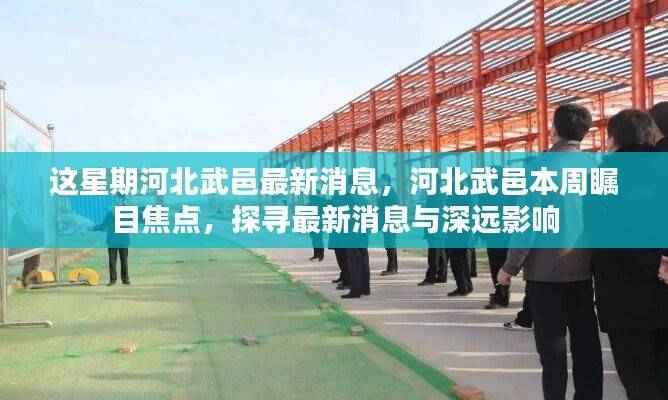 河北武邑本周焦点,最新消息及其深远影响探索