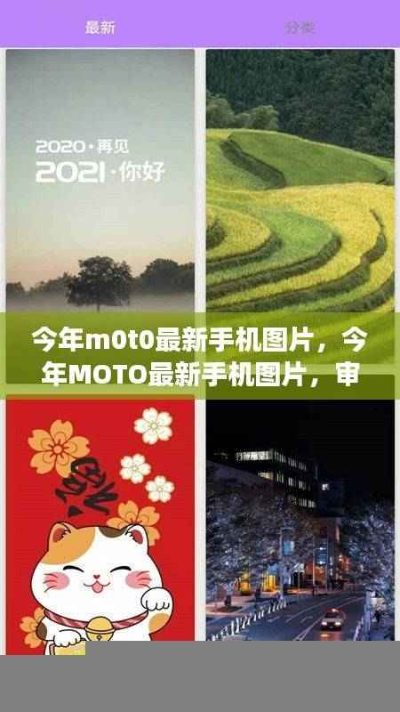 今年MOTO最新手机图片，审美趋势与个人立场的探索