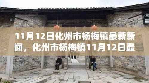 化州市杨梅镇11月12日新闻速递,获取最新资讯的攻略