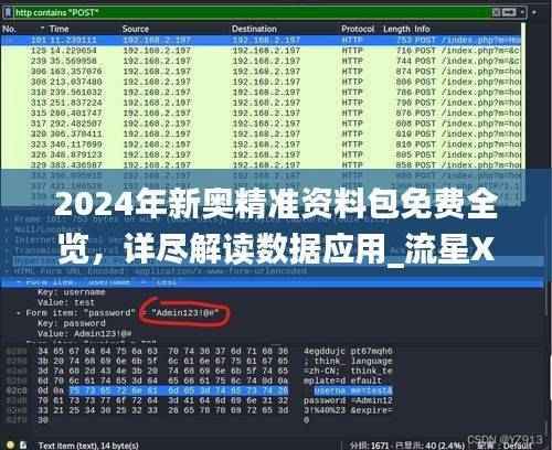 2024年新奥精准资料包免费全览,详尽解读数据应用_流星XPG682.89