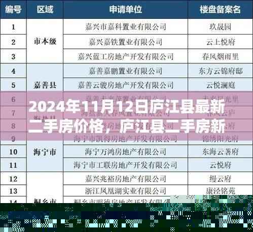 庐江县二手房市场新篇章,探寻温馨家园的房价之旅(2024年11月)