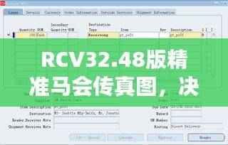 RCV32.48版精准马会传真图，决策信息完备