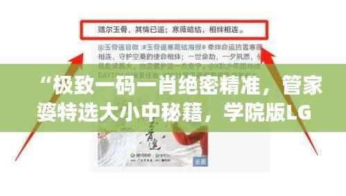 “极致一码一肖绝密精准,管家婆特选大小中秘籍,学院版LGS124.66全新解读”