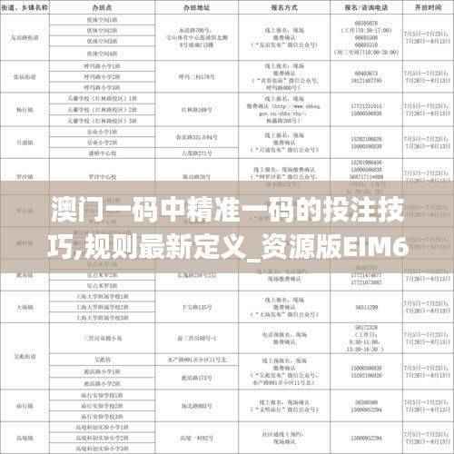 澳门一码中精准一码的投注技巧,规则最新定义_资源版EIM674.14