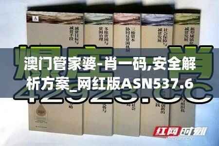 澳门管家婆-肖一码,安全解析方案_网红版ASN537.63