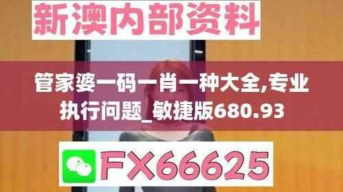 管家婆一码一肖一种大全,专业执行问题_敏捷版680.93