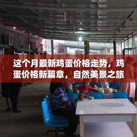鸡蛋价格最新动态,市场走势与自然美景的心灵滋养启示