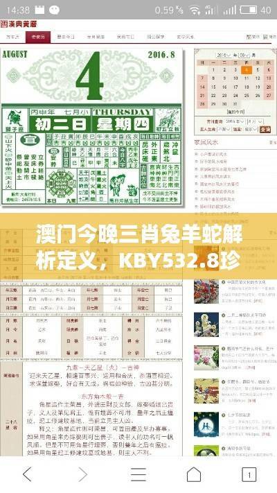 澳门今晚三肖兔羊蛇解析定义,KBY532.8珍贵版研究新释
