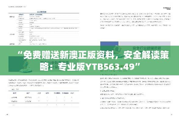 “免费赠送新澳正版资料,安全解读策略:专业版YTB563.49”
