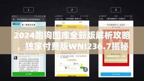 2024跑狗图库全新版解析攻略，独家付费版WNI236.7揭秘