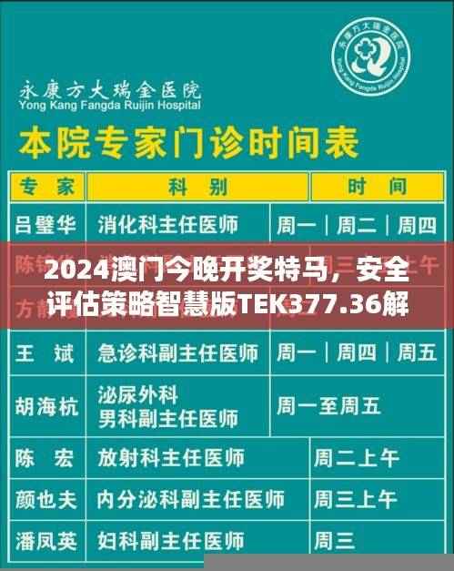 2024澳门今晚开奖特马,安全评估策略智慧版TEK377.36解析