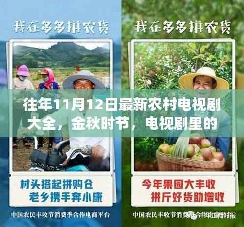 往年11月12日农村新剧概览，乡村变迁展现自信与力量之源