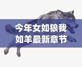 今年女如狼我如羊,最新章节下的性别关系深度解析