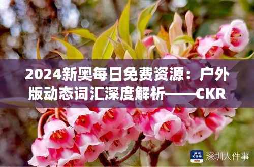 2024新奥每日免费资源:户外版动态词汇深度解析——CKR694.83