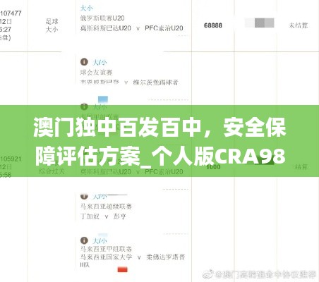 澳门独中百发百中,安全保障评估方案_个人版CRA982.44
