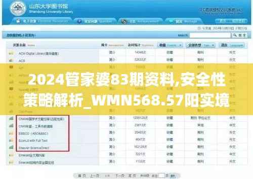2024管家婆83期资料,安全性策略解析_WMN568.57阳实境