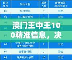 澳门王中王100精准信息,决策数据落地——幻想版NUL206.9
