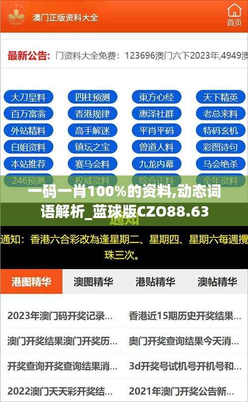 一码一肖100%的资料,动态词语解析_蓝球版CZO88.63