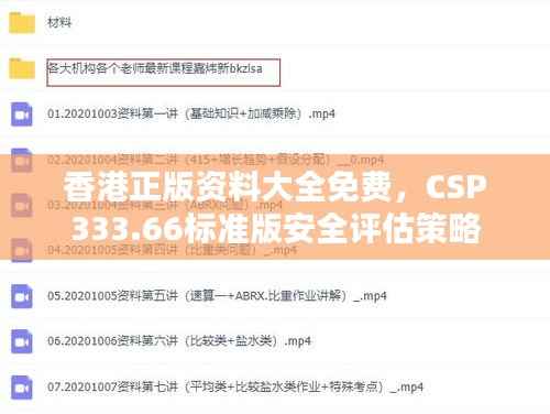 香港正版资料大全免费,CSP333.66标准版安全评估策略