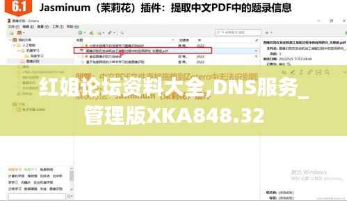 红姐论坛资料大全,DNS服务_管理版XKA848.32