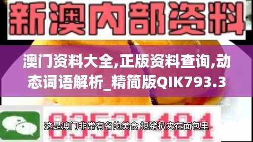 澳门资料大全,正版资料查询,动态词语解析_精简版QIK793.33