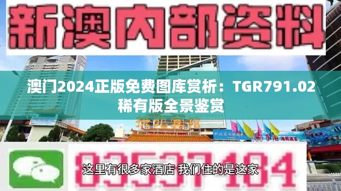 澳门2024正版免费图库赏析:TGR791.02稀有版全景鉴赏