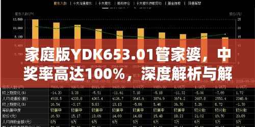 家庭版YDK653.01管家婆,中奖率高达100%,深度解析与解答