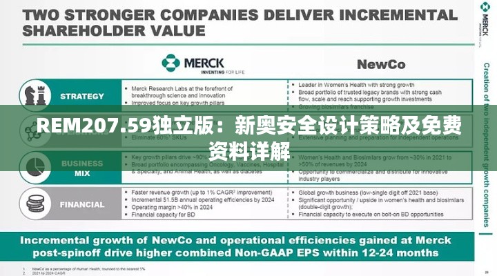 REM207.59独立版:新奥安全设计策略及免费资料详解