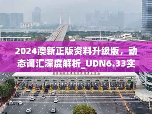 2024澳新正版资料升级版,动态词汇深度解析_UDN6.33实现版