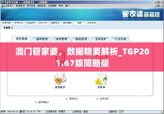澳门管家婆,数据精要解析_TGP201.67版简略版