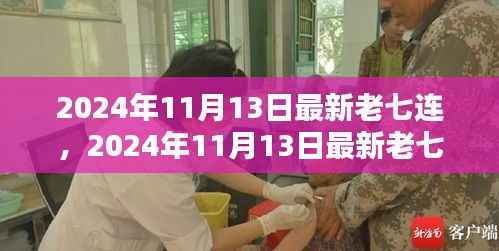 揭秘行业翘楚崛起之路,2024年11月13日最新老七连观察报告