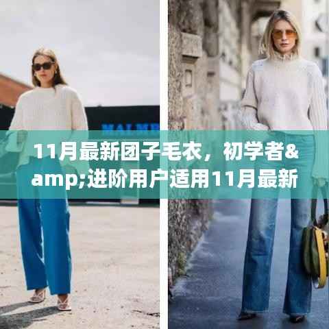 11月最新团子毛衣制作攻略,适合初学者与进阶用户的全指南