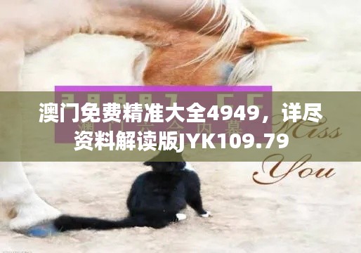 澳门免费精准大全4949,详尽资料解读版JYK109.79