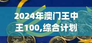 2024年澳门王中王100,综合计划赏析_魂银版249.73