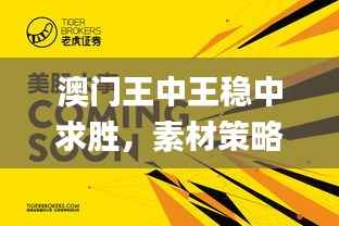 澳门王中王稳中求胜,素材策略解析_顶级版ZWH329.76