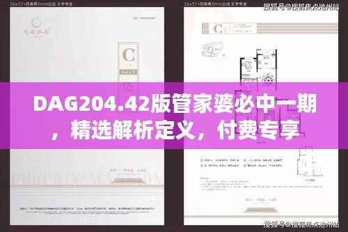 DAG204.42版管家婆必中一期,精选解析定义,付费专享