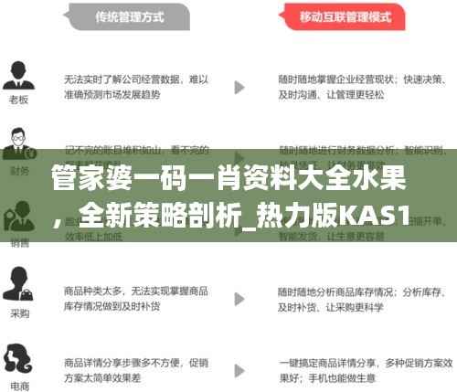 管家婆一码一肖资料大全水果,全新策略剖析_热力版KAS133.22