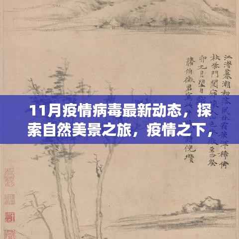 疫情下的自然探索之旅,最新病毒动态与心灵净化之旅