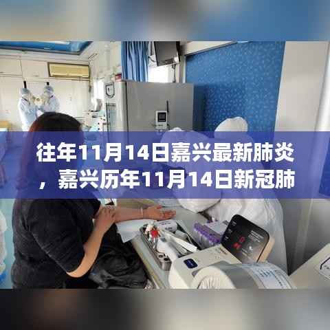 嘉兴历年11月14日新冠肺炎纪实,挑战与希望的交织篇章