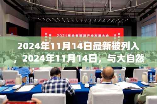 与大自然共舞的日子,一场寻找内心平静的奇妙旅行——纪念新列入日期,2024年11月14日