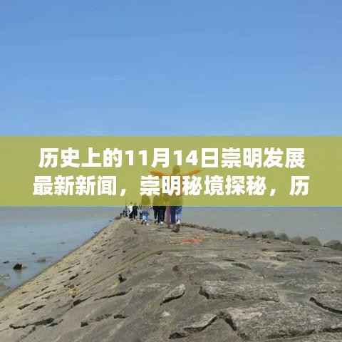 历史上的11月14日,崇明发展最新新闻揭秘,自然美景下的探秘之旅