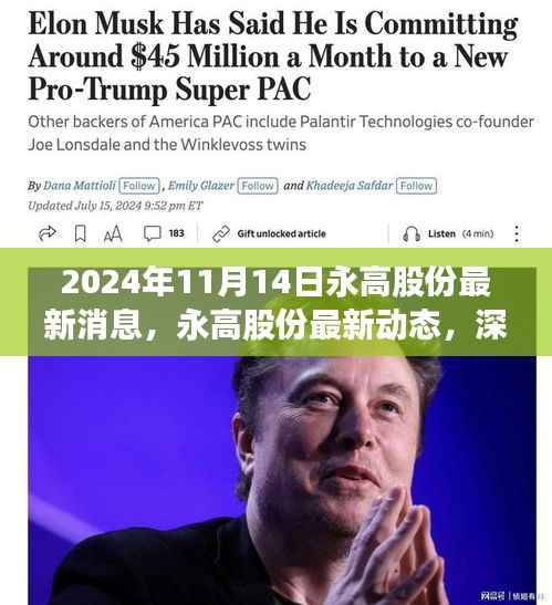 永高股份最新动态深度解析,产品特性、用户体验与目标用户群体分析(2024年11月14日)