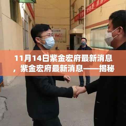 揭秘紫金宏府最新进展与亮点,专刊揭秘(11月最新消息)