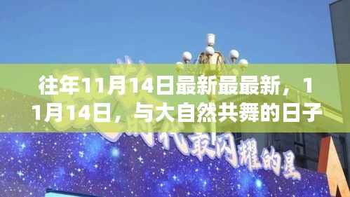 11月14日与大自然的共舞,寻找内心平静的奇妙旅程