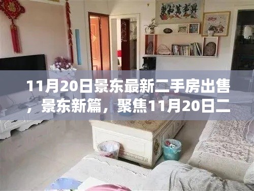 景东二手房市场新动态,聚焦11月20日房源出售信息